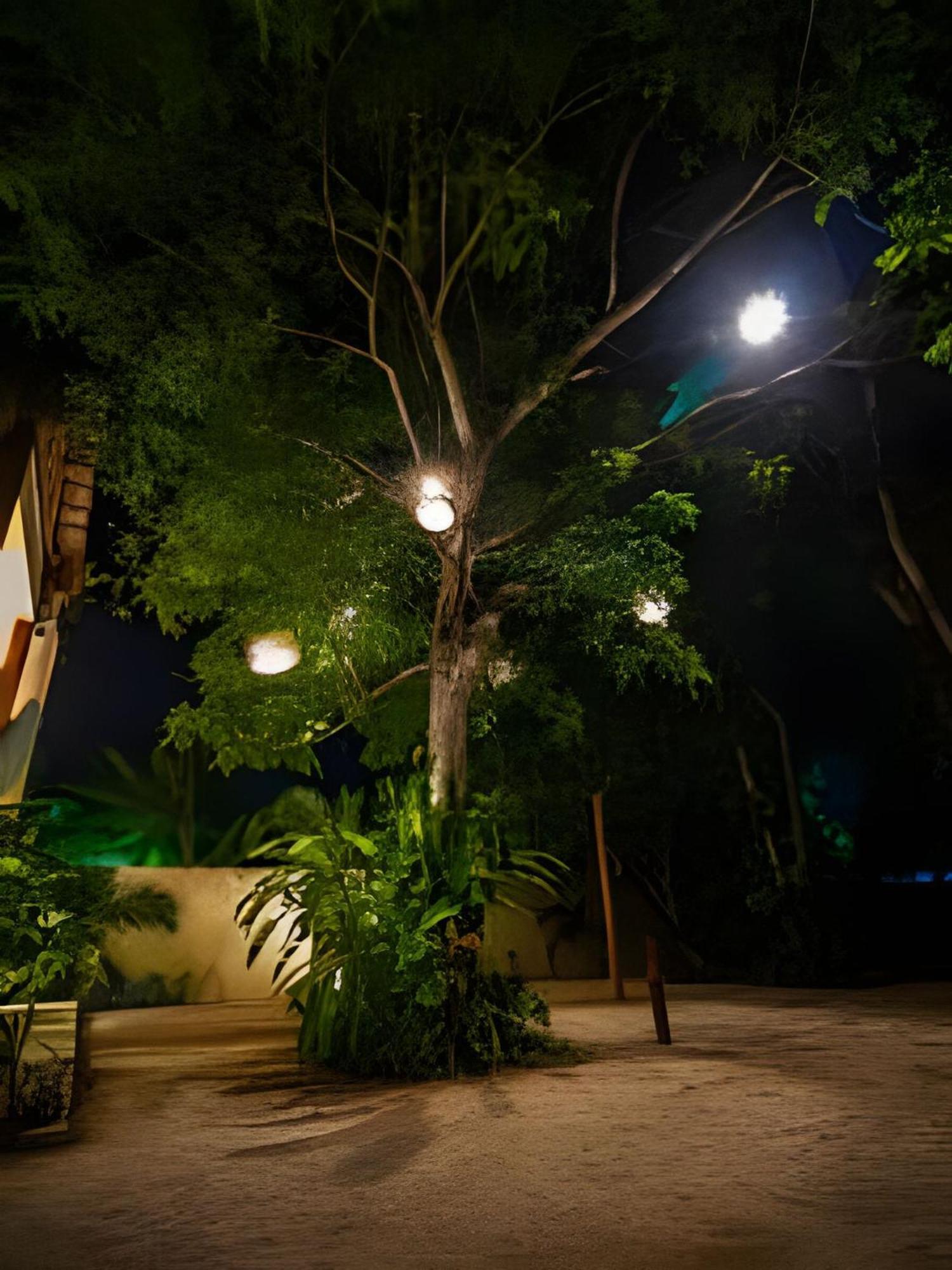 Casa De Piedra - Departamentos Bacalar- Apartment ภายนอก รูปภาพ